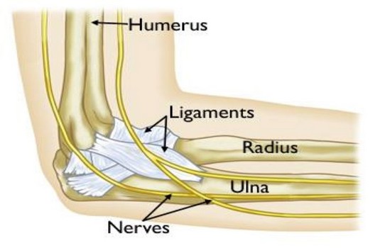 Elbow Replacement 1
